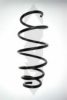 SPIDAN 85977 Coil Spring